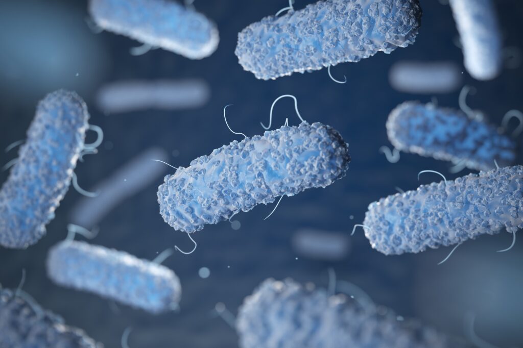 Enterobacterias. Gram-negative bacterias escherichia coli, salmo